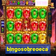 bingosobreoeca